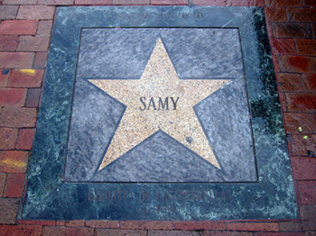 Samy